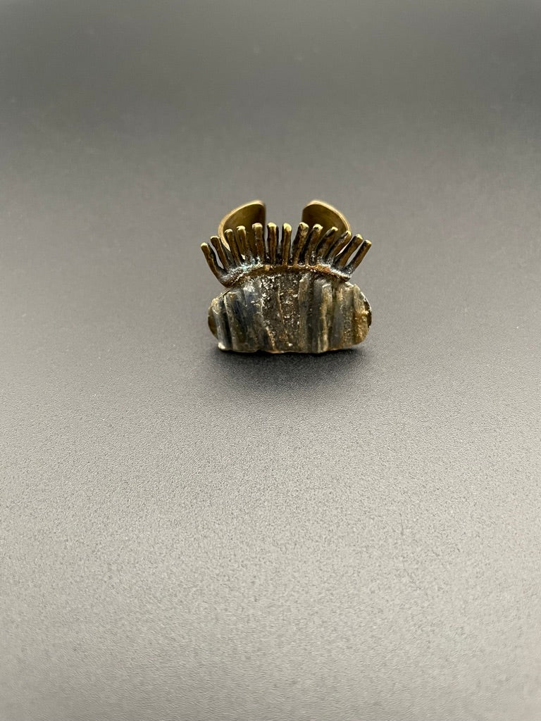 Crown Kyanite Selen Ring