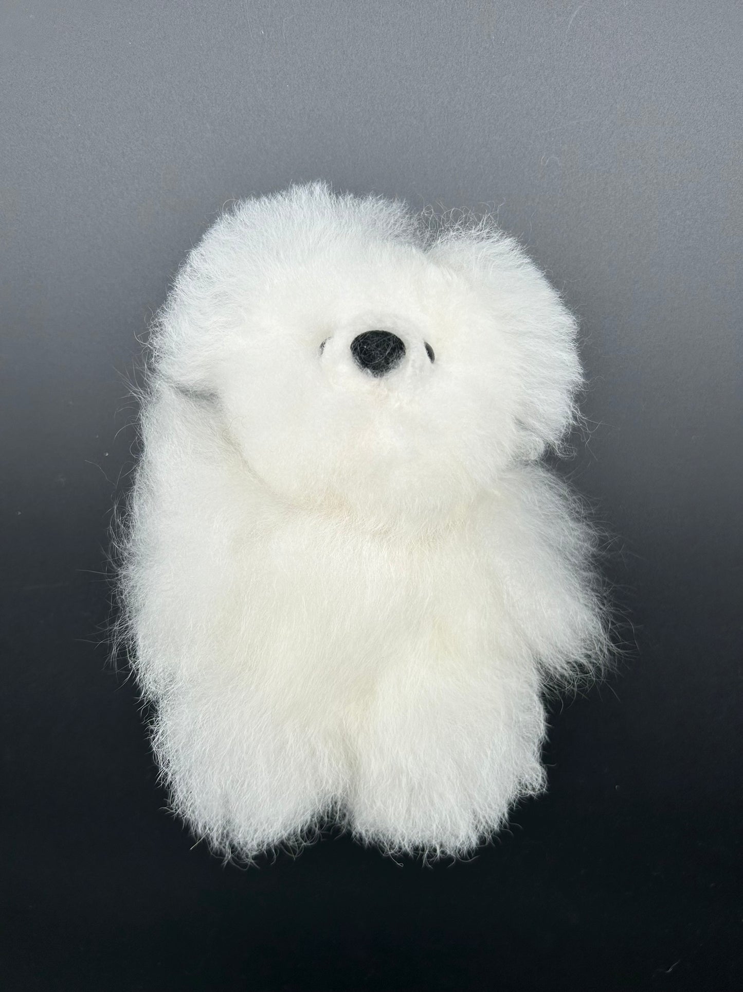 Baby Alpaca Bear-- bear D